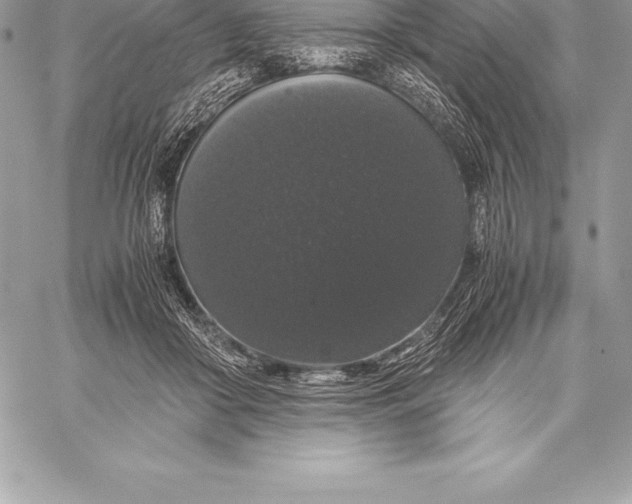 X0000058100410200510171223
