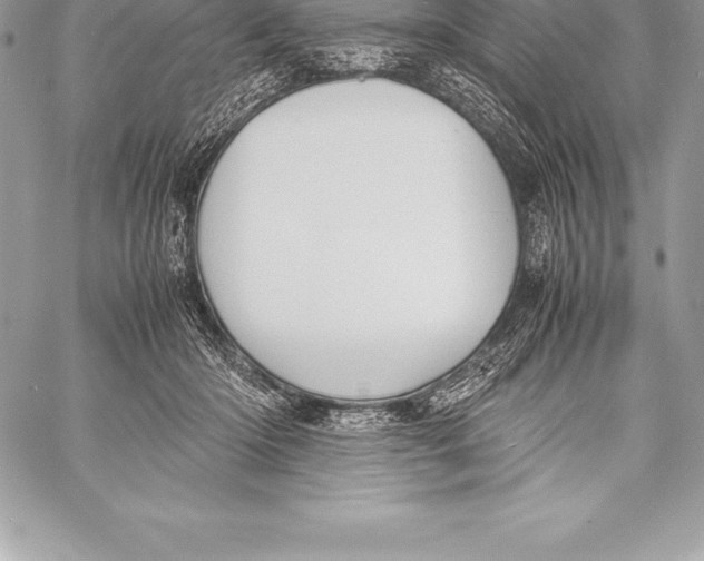 X0000058100414200510171223