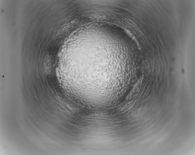 X0000058100416200510171223