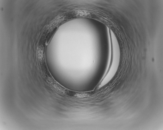 X0000058100417200510171223