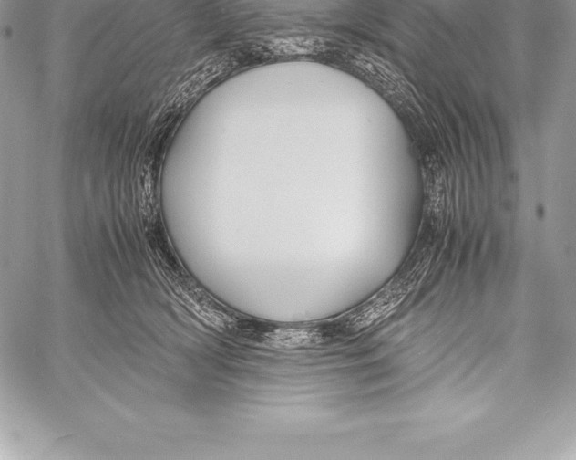 X0000058100418200510171223