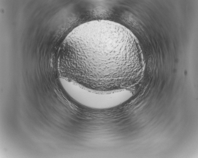 X0000058100424200510171223