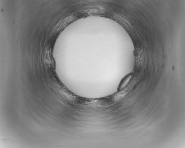 X0000058100430200510171223