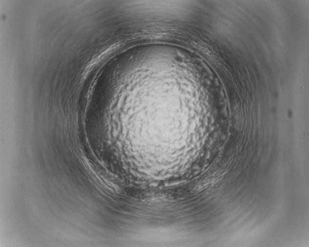 X0000058100442200510171222