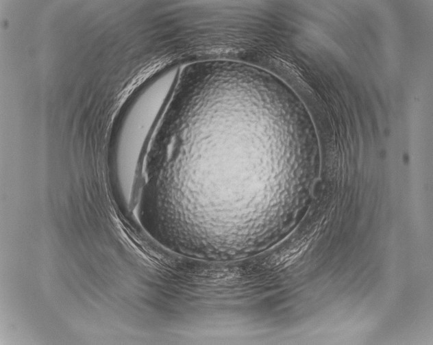 X0000058100443200510171222