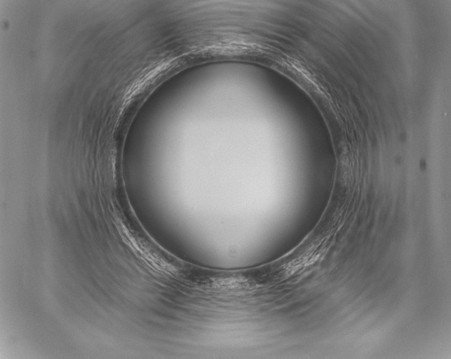 X0000058100446200510171222