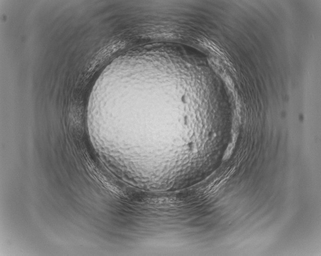 X0000058100449200510171222
