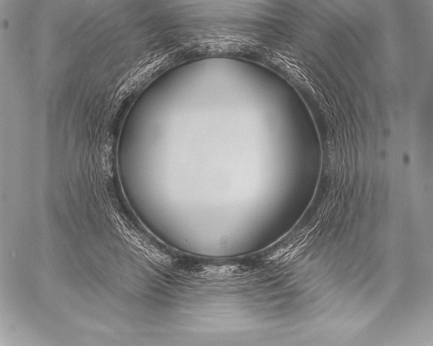 X0000058100450200510171222