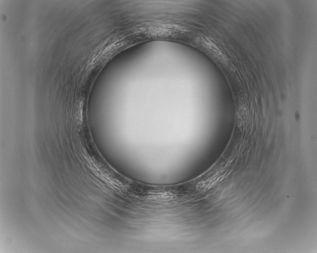 X0000058100454200510171223