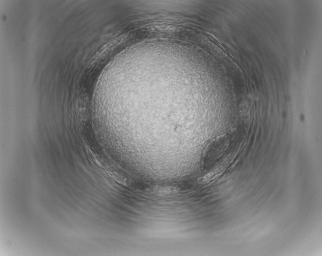 X0000058100464200510171223
