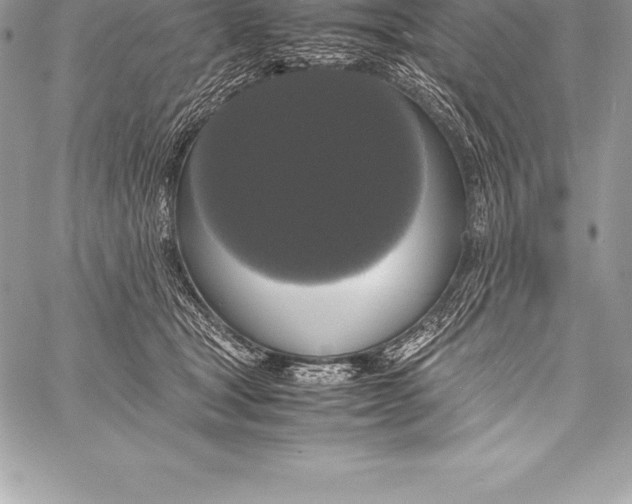 X0000058100465200510171223
