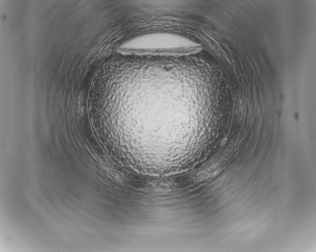 X0000058100466200510171223