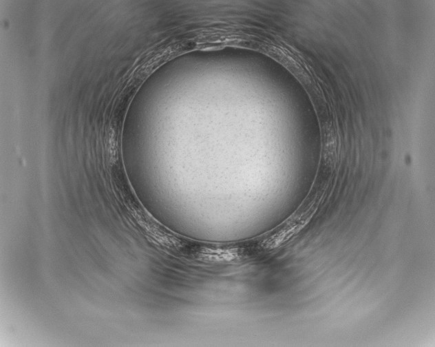 X0000058100469200510171223