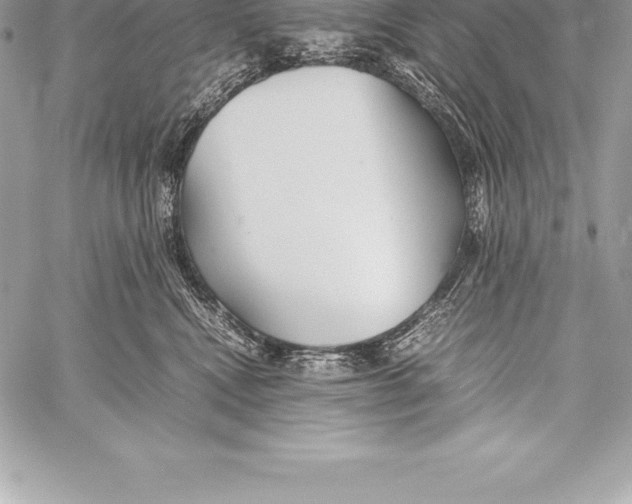 X0000058100472200510171223