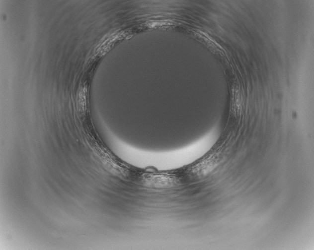 X0000058100475200510171223