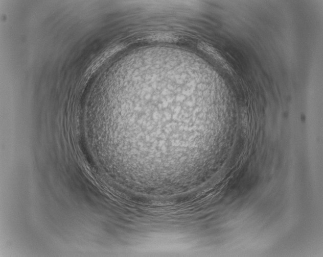 X0000058100487200510171222