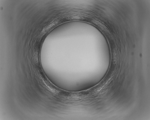 X0000058100489200510171222