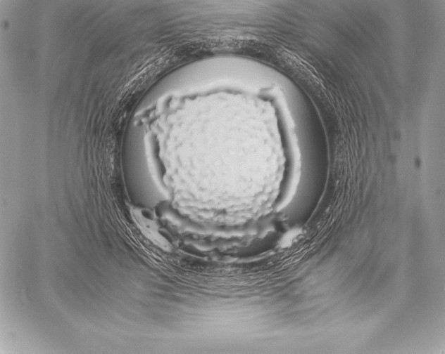 X0000058100501200510171222