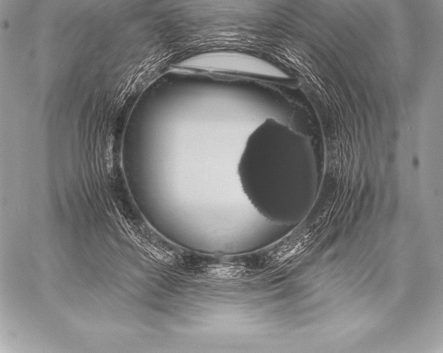 X0000058100504200510171222