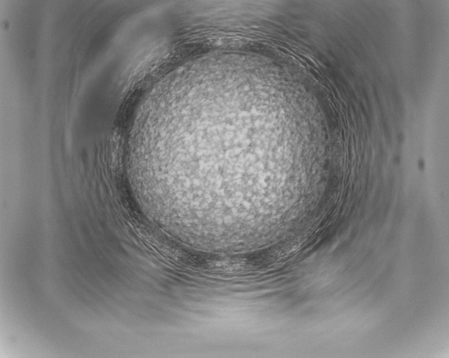 X0000058100511200510171222
