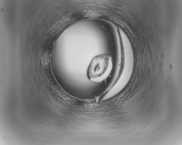 X0000058100517200510171222