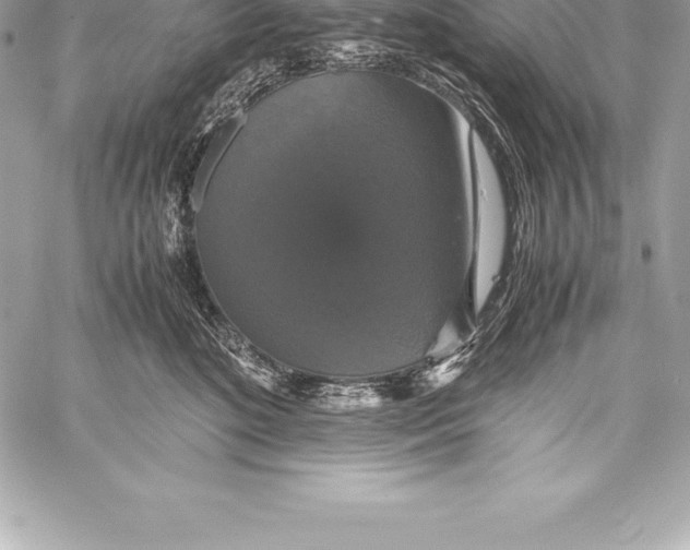 X0000058100520200510171222