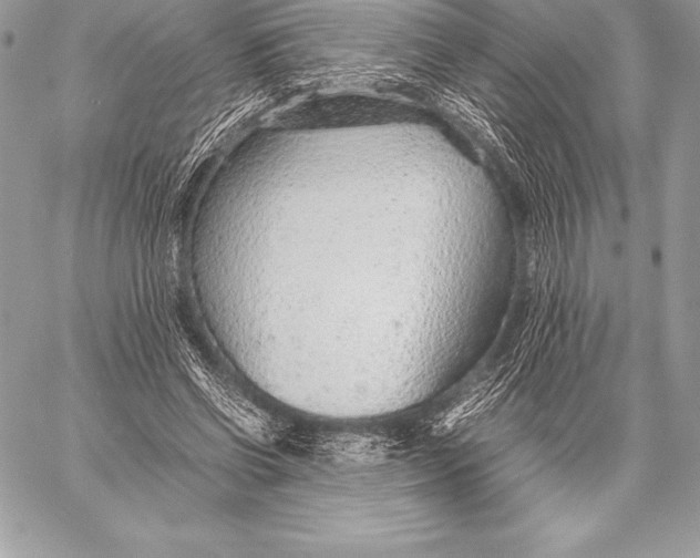 X0000058100542200510171221