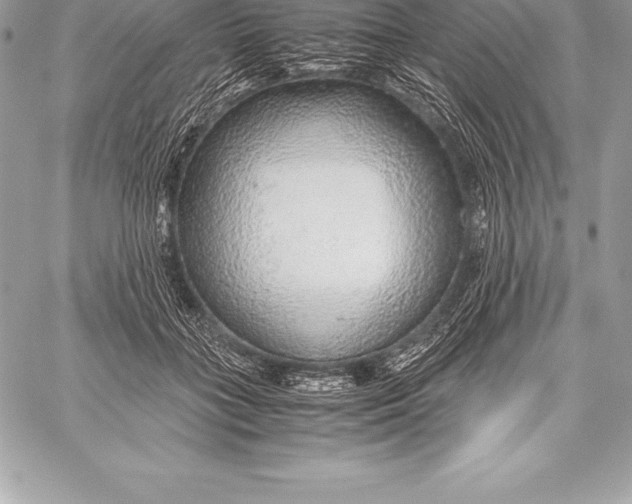 X0000058100555200510171221