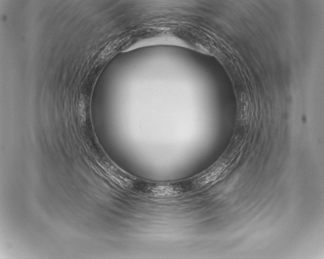 X0000058100562200510171221