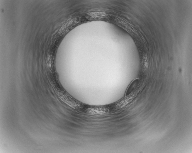 X0000058100567200510171221