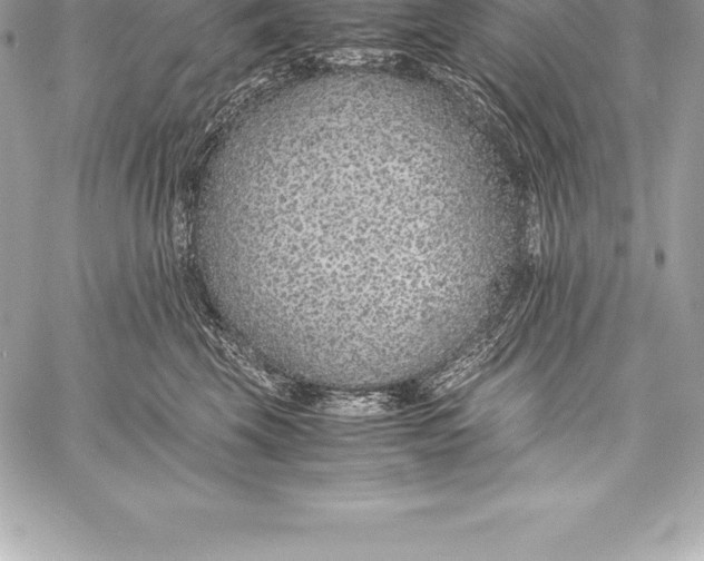 X0000058100569200510171221