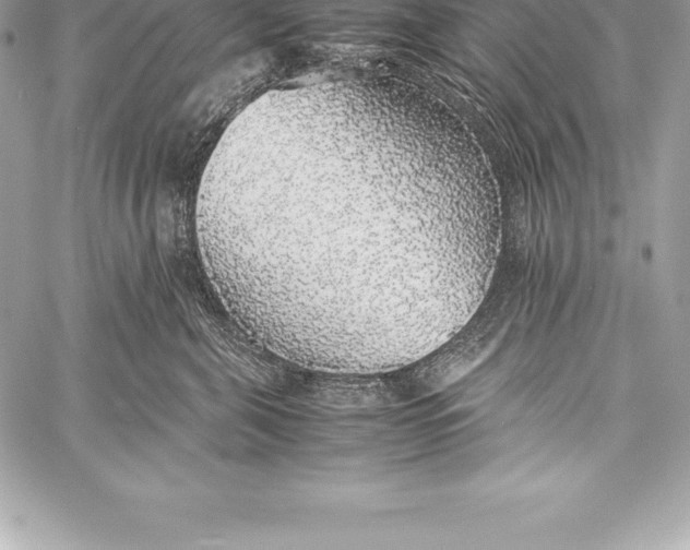 X0000058100571200510171221