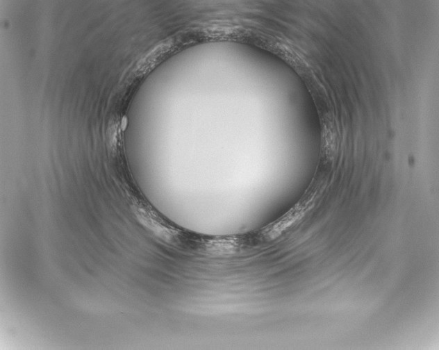 X0000058100574200510171221