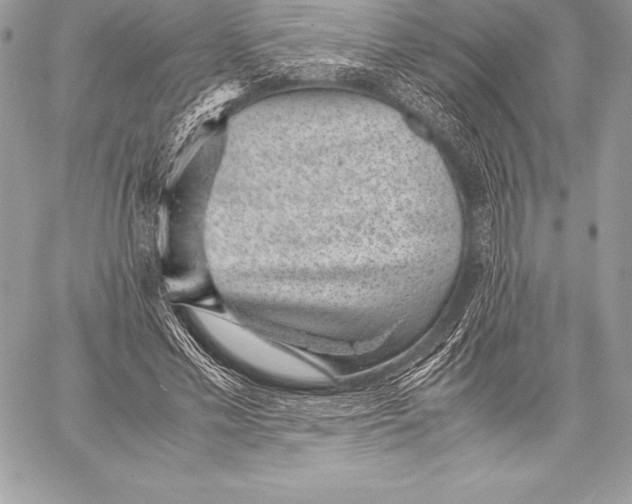X0000058100589200510171220