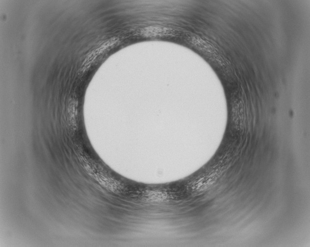 X0000058100592200510171220