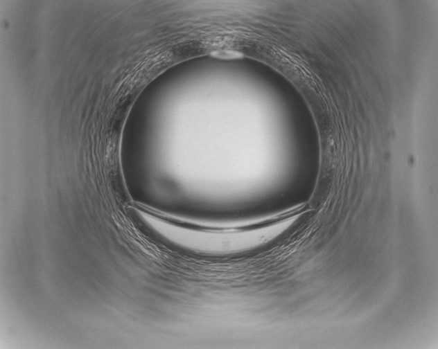 X0000058100601200510171220