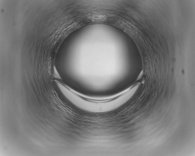 X0000058100604200510171220