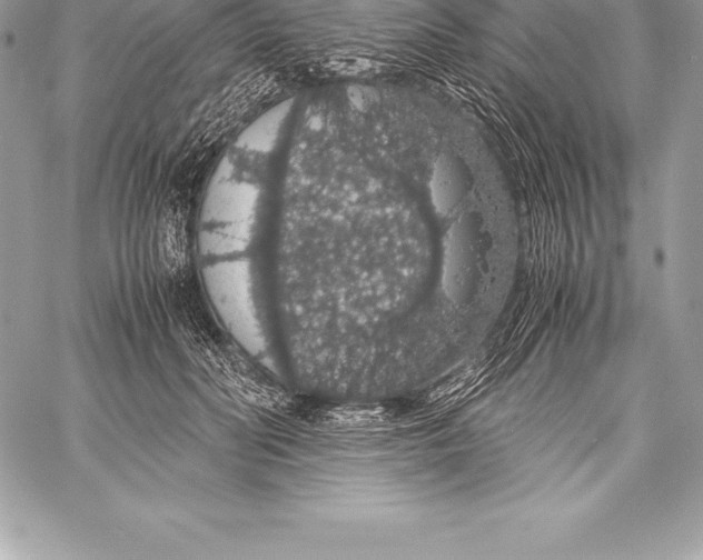 X0000058100606200510171220