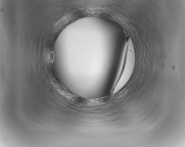 X0000058100623200510171220