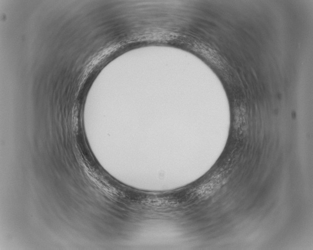 X0000058100632200510171219