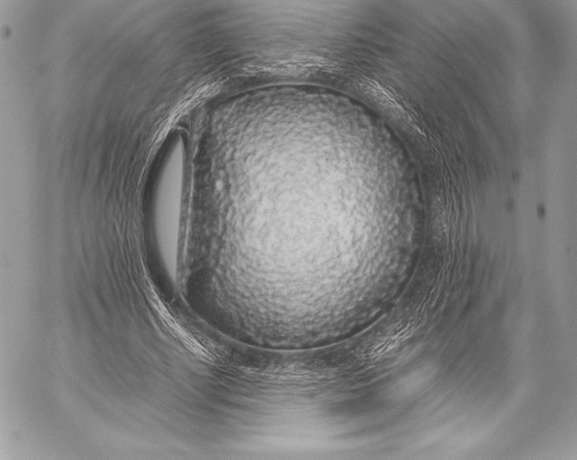 X0000058100634200510171219