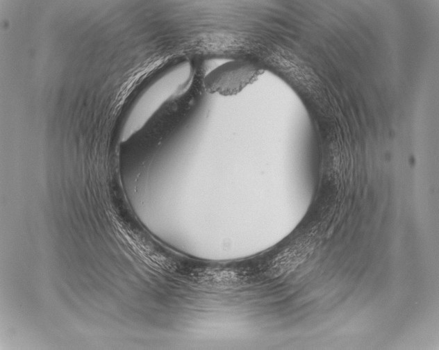 X0000058100640200510171219