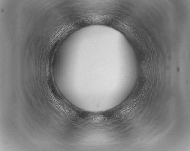 X0000058100642200510171219
