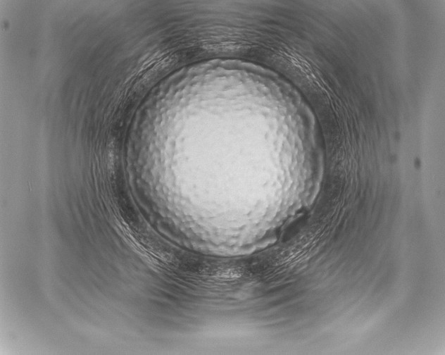 X0000058100647200510171219