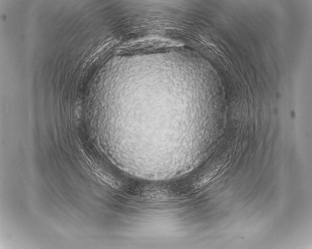 X0000058100648200510171219