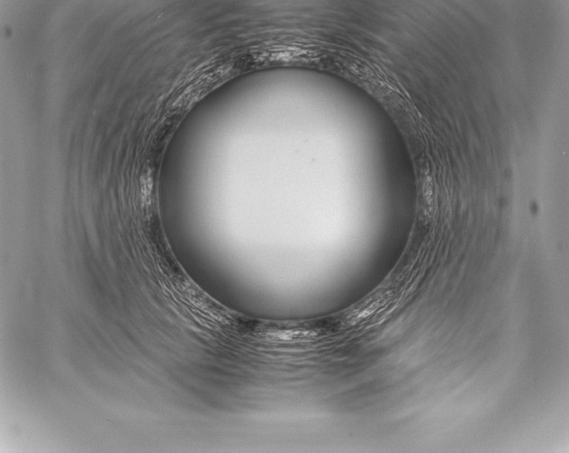 X0000058100657200510171219