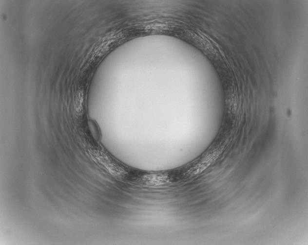 X0000058100660200510171219