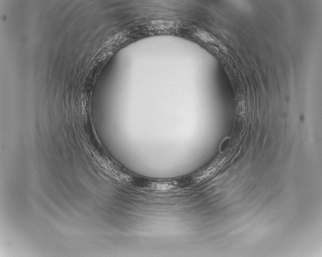 X0000058100662200510171219
