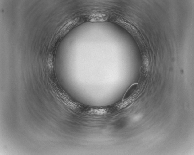 X0000058100665200510171220