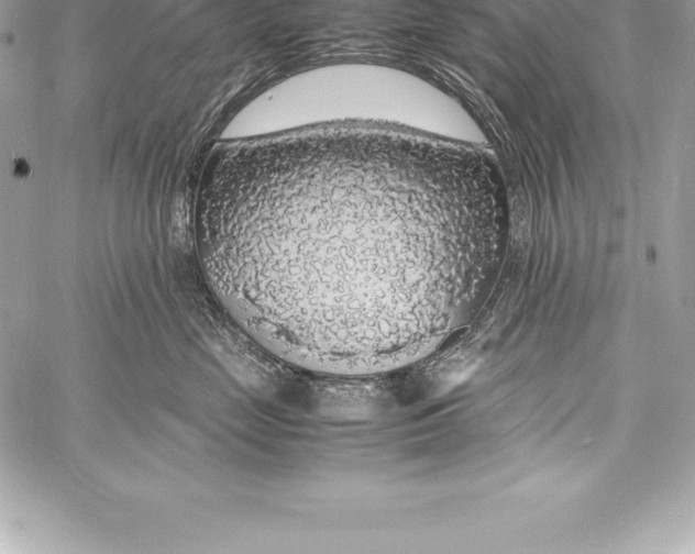 X0000058100669200510171220